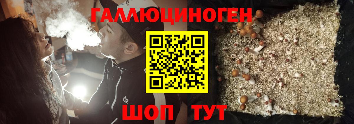 Псилоцибиновые грибы прущие грибы  Псилоцибиновые грибы Magic Shrooms  Аксай  Вход с VPN 